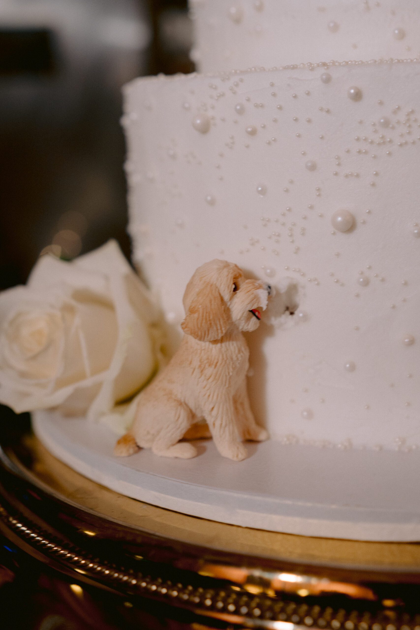 treasury on the plaza wedding photographer